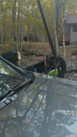 The bear vs the kid sitting in my car scared. Mom's got it.  #bear 