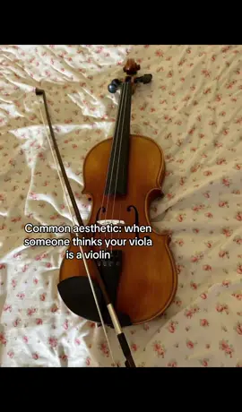 Dont assume stuff please😭💔 #viola #fyp #viral #commonaestethic 