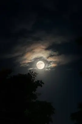 #คืนจันทร์ #พระจันทร์ #เธรด 