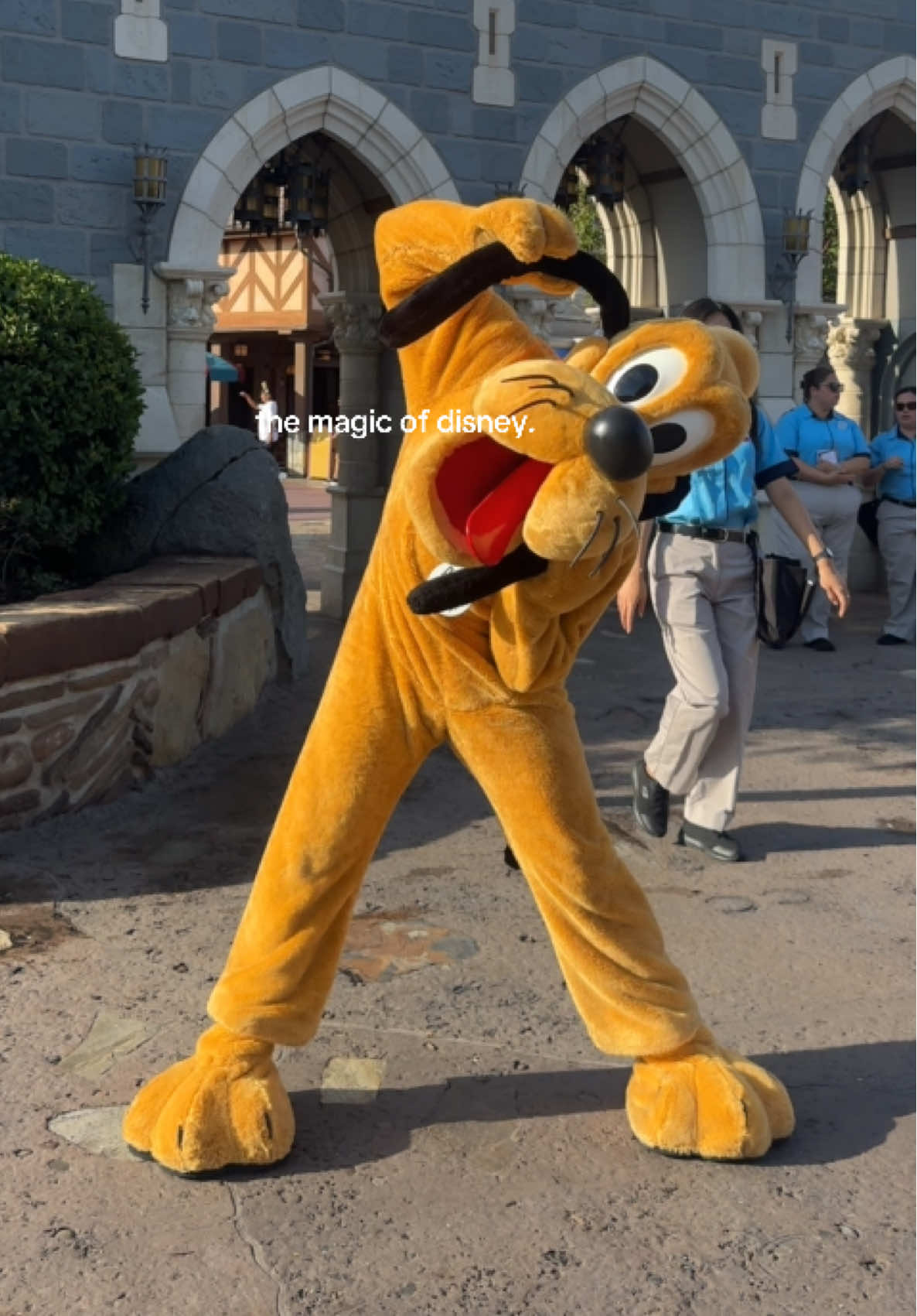 the most magical place on earth 🤍 #disneyworld #themagicofdisney #themostmagicalplaceonearth #disneyfyp #disneyadult @Disney UK @Disney Parks UK @AttractionTickets.com @Disney Parks 
