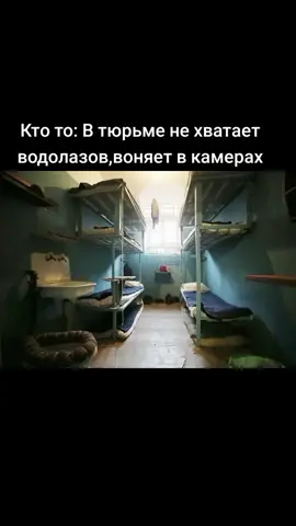 #навальный #стулалексеянавального #водолаз #тюрьма #АлексейНавальный @Алексей Навальный 