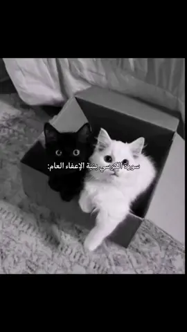 #اكثرو_من_الاستغفار #إعفاء #بنية #سورة #الكرسي 