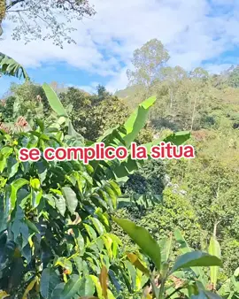 se complico la situación 
