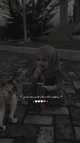#CapCut الله يرزق كل مشتهي #وجع_حومصية #تصميم_حومصية  