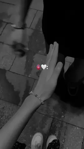 الحب 💋🤍