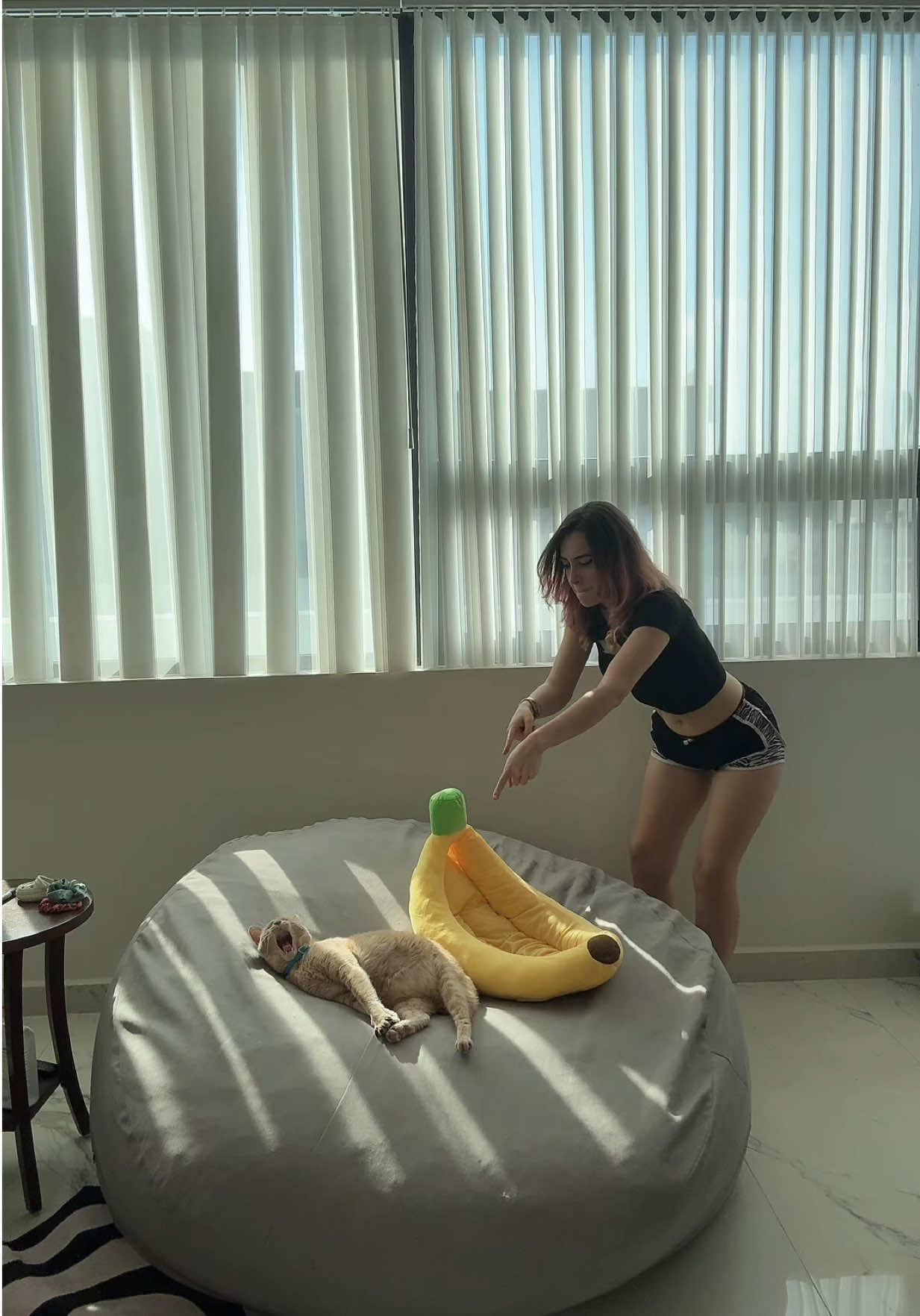 🐥🍌 #fyp #gato #renatarroz 