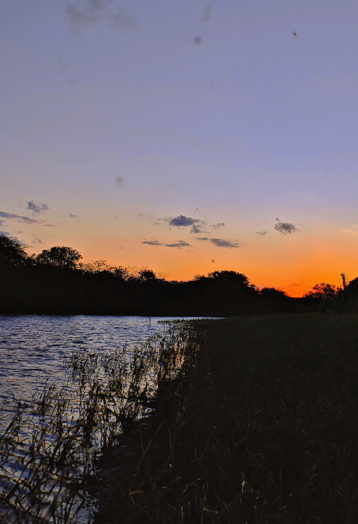 trato é trato...🙏🏻👊🏻 #motivacional #superação#motivação #conquista #reflexaododia