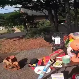 I Made ALL My Money Back with ONE Item