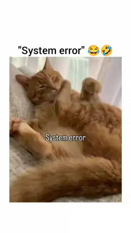 #fyp 
