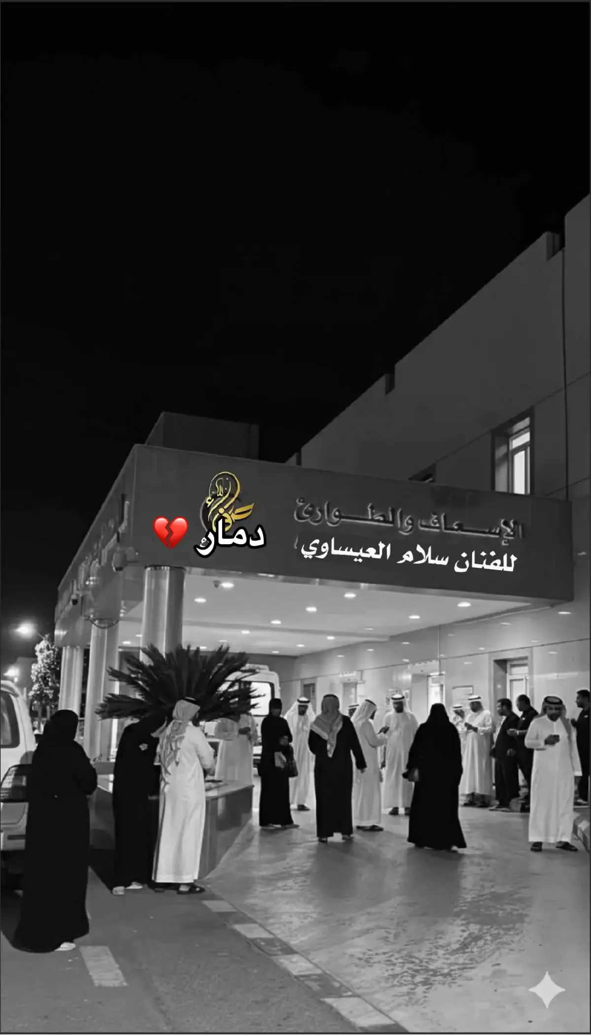 #دليمي_الانبار_رمادي_الانبار_شموخ_ #تفاعلكم_لايك_متابعه_اكسبلورررر #capcutالفنان_سلام العيساوي_صح_لسانك 