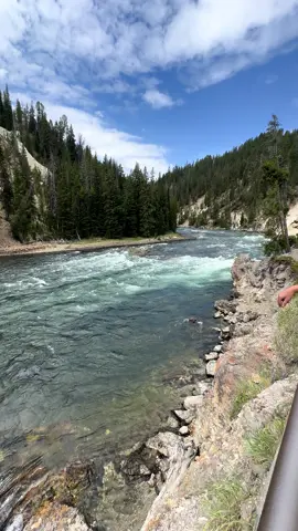 #yellowstone 
