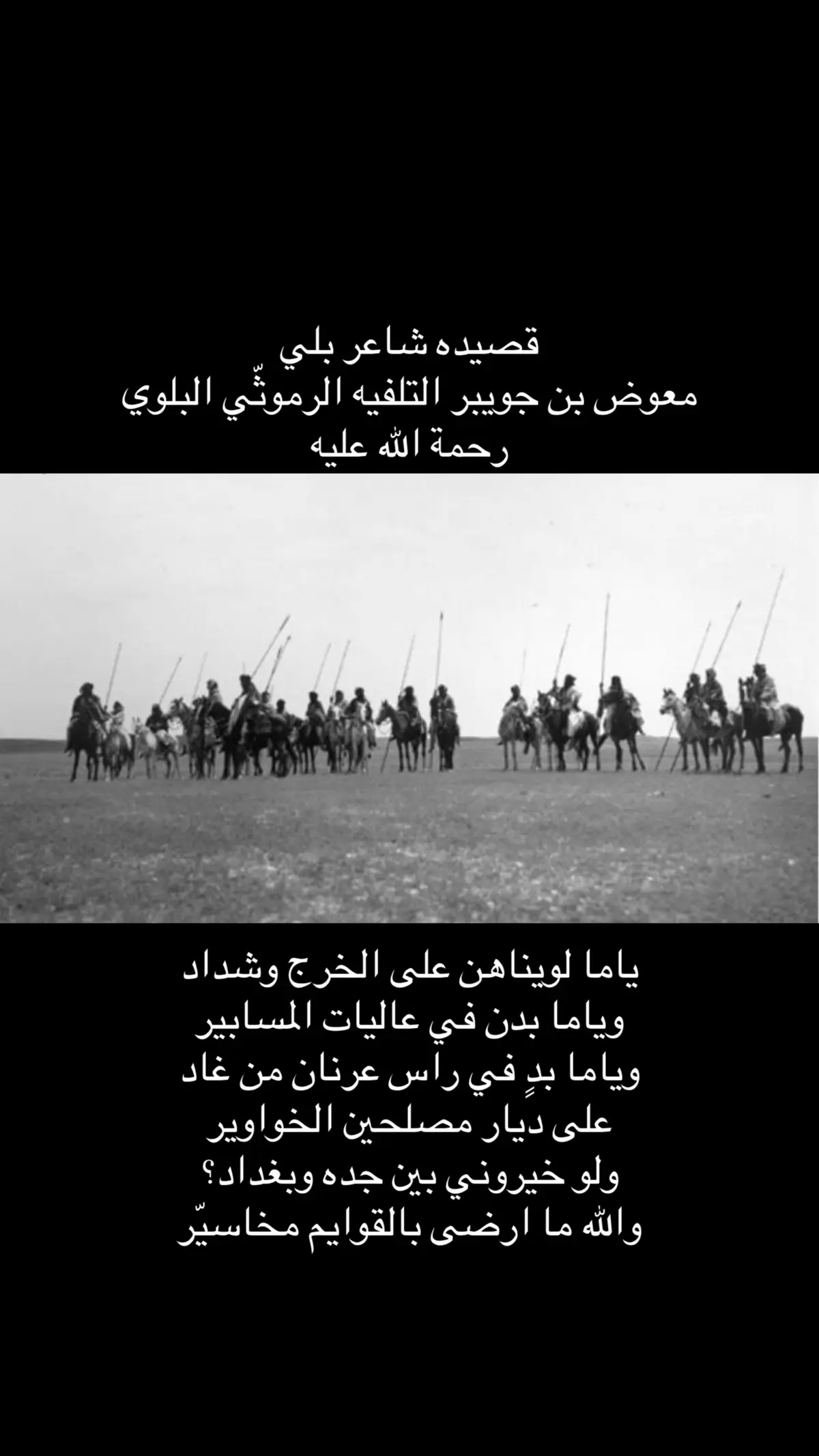 #بلي  #تبوك  #اكسبلورexplore #العلا #جيده 