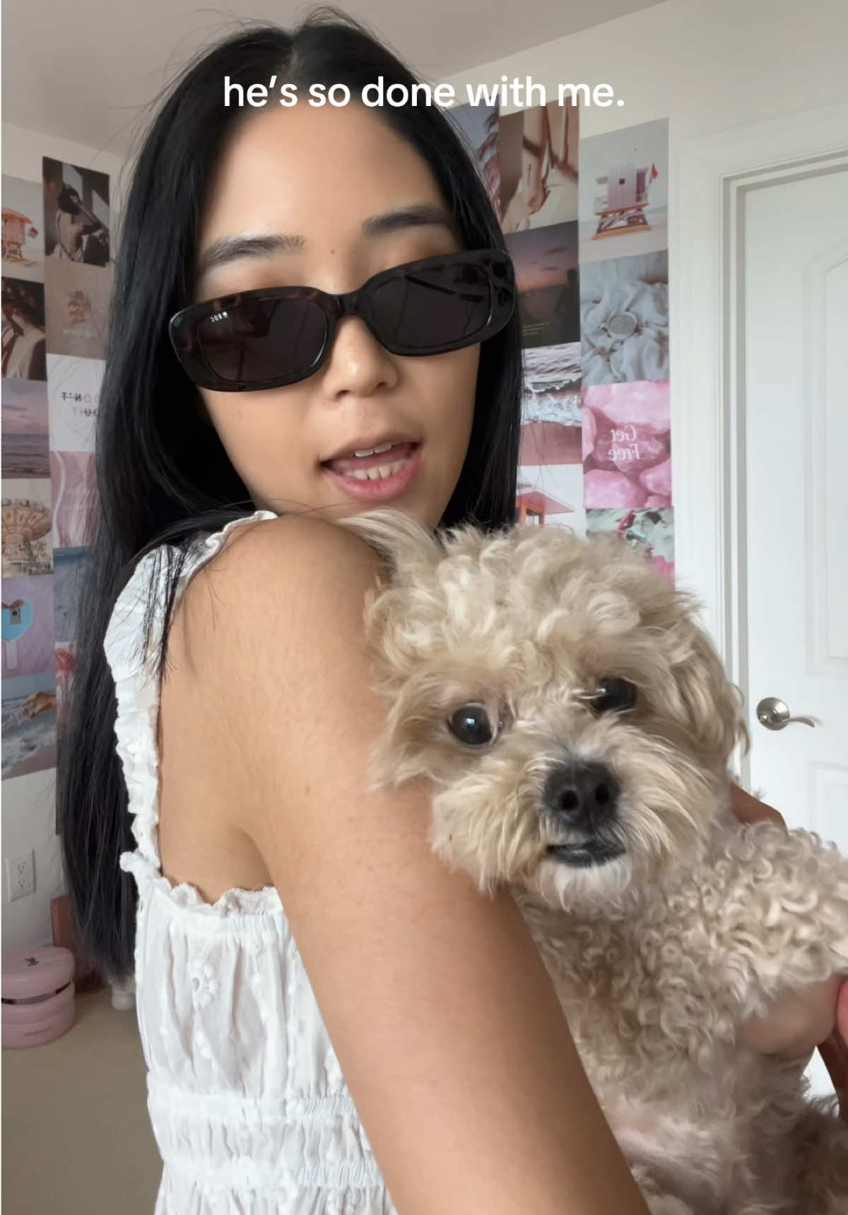 live footage of Milo and I for the past 24 hours. I promise he’s having fun #taylorswift #thelifeofashowgirl #taylornation #opalite #taylorswifttok @Taylor Swift @Taylor Nation  