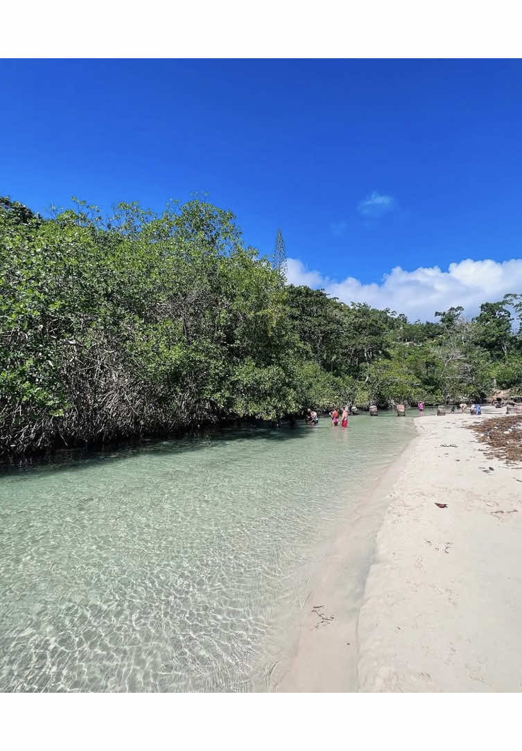 @Elizabeth Vasquez @Oda @Albert Pérez @perfectvirgo @@buis_store_ @Yafreisy Morales @Joel Cabrera 🏡❤️