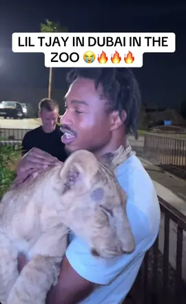 LIL TJAY HOLDING A LION 🔥 #liltjay #dubai #viral #fyp #fy 