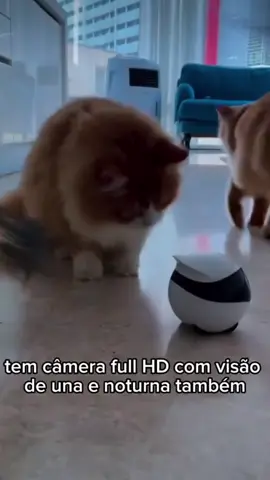 Robô inteligente para pet #cachorro #gato #pet #brinquedopet #cachorrosdotiktok 