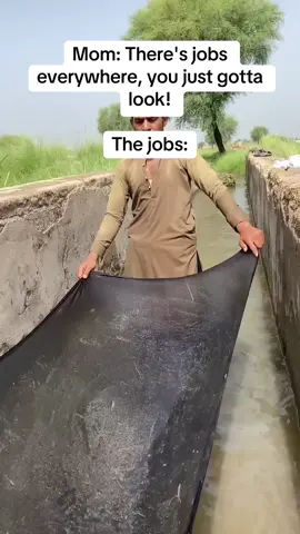 2025 job market #fyp #meme #funny #jobhunting #worktok 