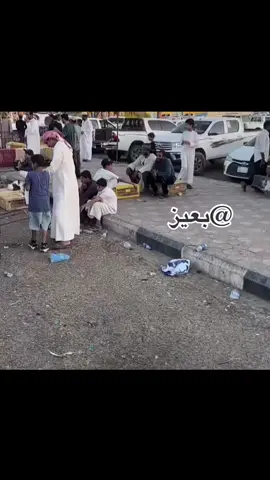 منزله السوق عشان يبيلعه الدجاج 🤣 . . #بعيز #السعداوي #CapCut #الجوف_طبرجل_القريات #نعناعه #