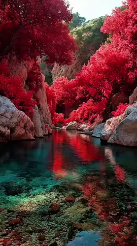 #creatorsearchinsights #سورة_ال_عمران #القارئ_محمد_الفقيه #القرآن_الكريم #قران #المقام_الصنعاني #لا_اله_الا_الله #اللهم_صلي_وسلم_وبارك_علي_سيدنا_محمد #تلاوات #اليمن #تلاوات  #القرآن_الكريم #ارح_سمعك_بالقران #القرآن_الكريم_راحه_سمعك_القرآن💙🎧 #القارئ_محمد_الفقيه #محمد_الفقيه #الشيخ_محمد_الفقيه #karimwce16p #تلاوة_خاشعة #سوره_الكهف 