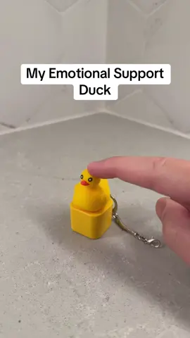 My Emotional Support Duck #fidgettoys #toys #ducktoy 
