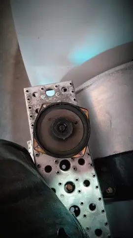 like i was never there. #skaraudio #freightshaker #iliketoparty 