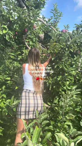 one of my favorite fall activities is apple picking!! I love fresh apples, cider and apple cider donuts!! 🍎🍂🍩 #fallactivities #applepicking #applepickingseason #october #fallvibes 