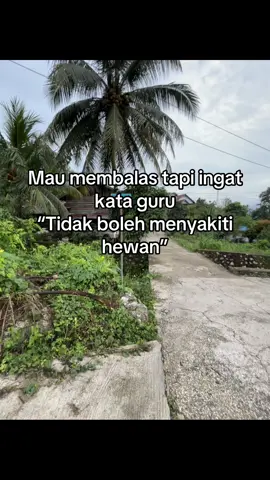 #fyp 