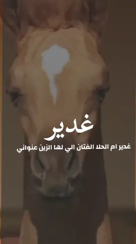 شيلة باسم غدير 2025شيله مدح غدير ام الحلا الفتان #شيلات_مدح_شيلات_تباريك_شيلات_زواج #السعودية_الكويت_الإمارات_قطر #شيلات_روعه_خواطر_ذوق #ppppppppppppppppppppppp 