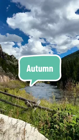 Who else is an autumn? 🍁 🏔️  🤎  #colorado #autumn  #leafpeeping  #bestdrivesincolorado  #explore