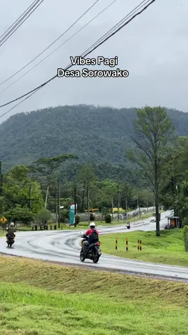 Vibes Pagi Des Sorowako, Nyaman Dan Damai #fyp #nursery #ptvaleindonesia #sorowako #luwutimur 