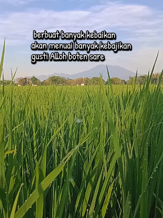 kata mutiara kehidupan #storytime  #katamutiara 