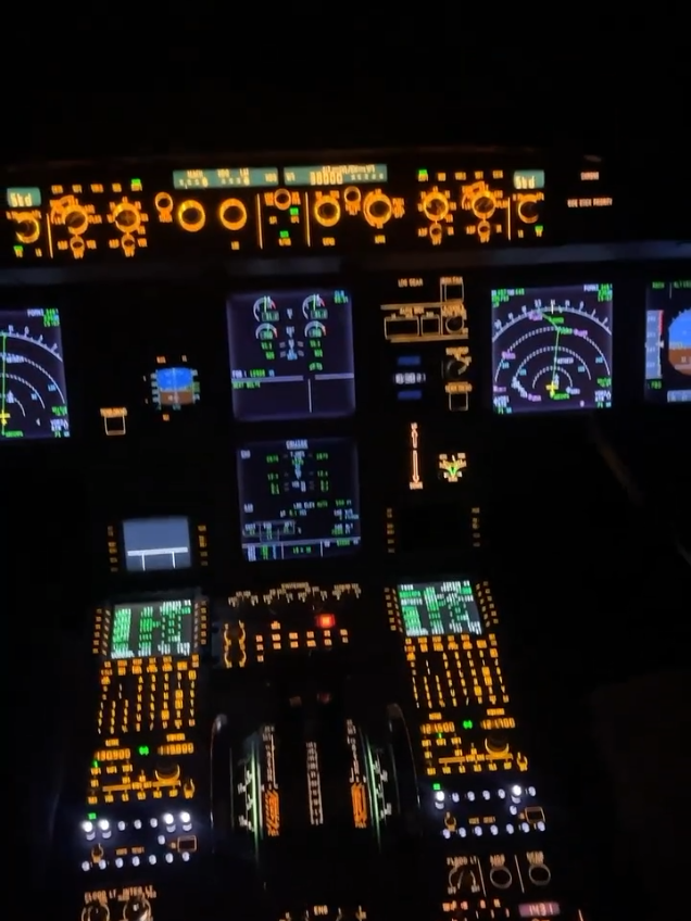 🇩🇿🇩🇿🇩🇿  #aviation #flyhigh #fly #pilotlife #pilot 