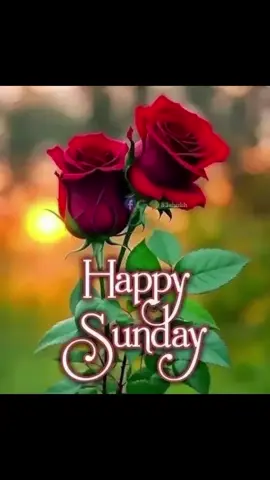 #เทรนด์วันนี้พรุ่งนี้ตลอดไป 