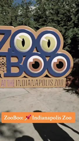 Another Zoo Boo @IndianapolisZoo  . . . . . . . #zooboo #Indianapolis #Indianapoliszoo #booatzoo #halloween 