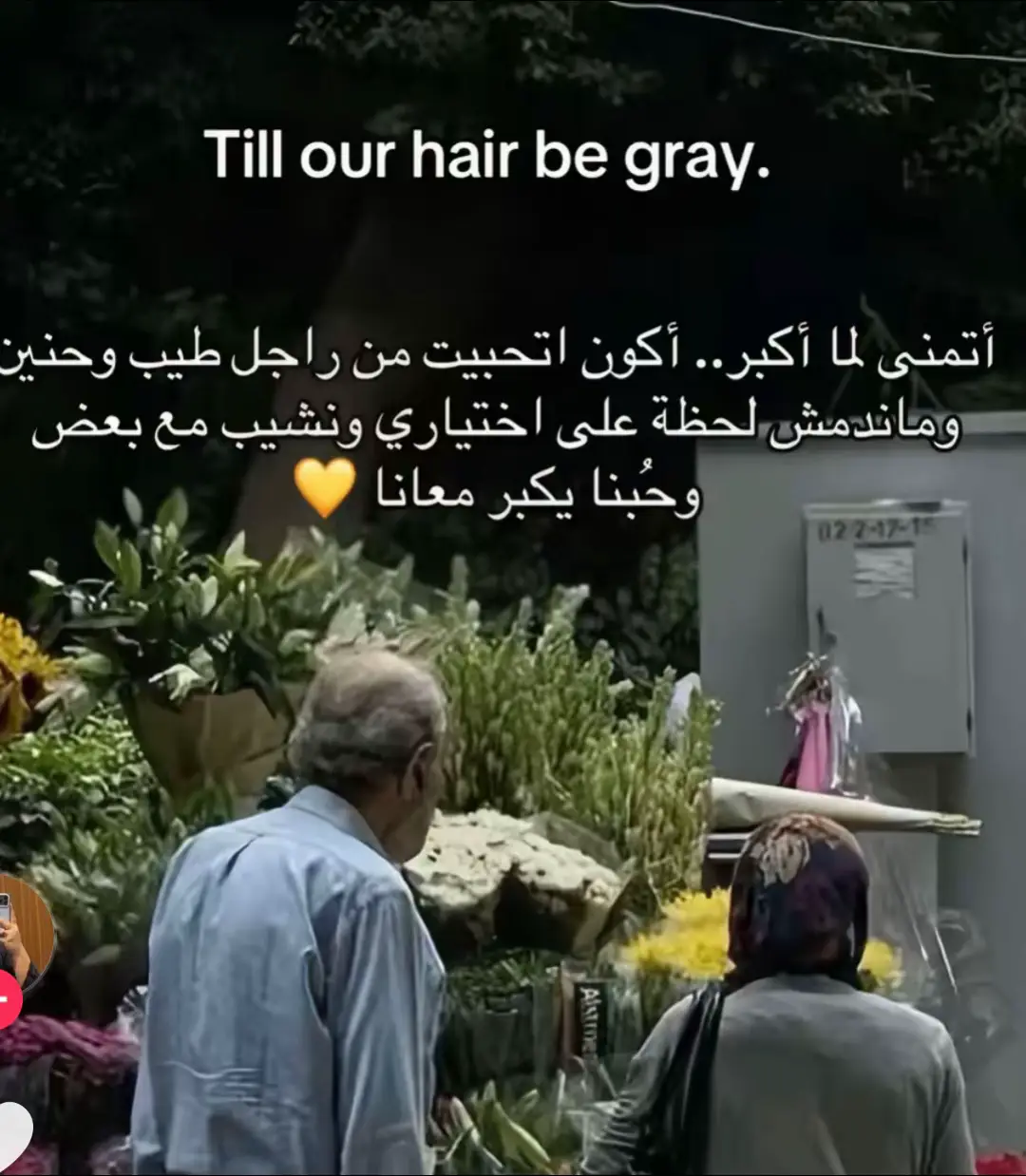 وثقه انك هتكونً احن حد عليا 🤍