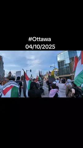 #Free_Palestine