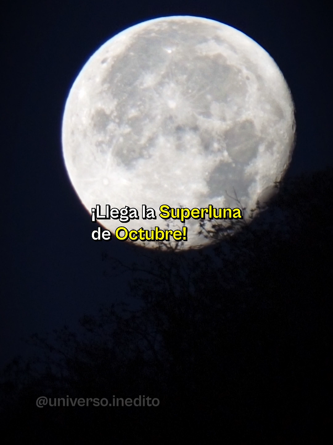 ¡Llega la primera Superluna del año! 🌕 La Luna llena de octubre será una Superluna, visible la noche del 6 de octubre. Se verá más grande y brillante que una Luna llena normal… un espectáculo que no pasa todos los meses. ✨ #superluna #lunallena #astronomia #universo #ciencia #luna #cielo