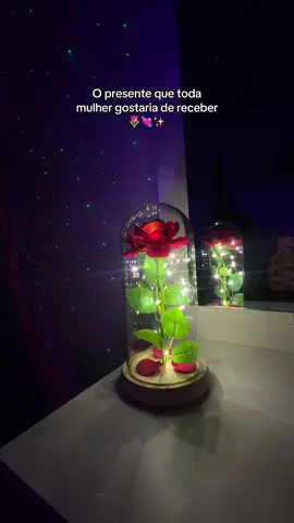 A famosa rosa da bela e a fera 🥺❤️ #rosa #presente #fyp #tiktokshop 
