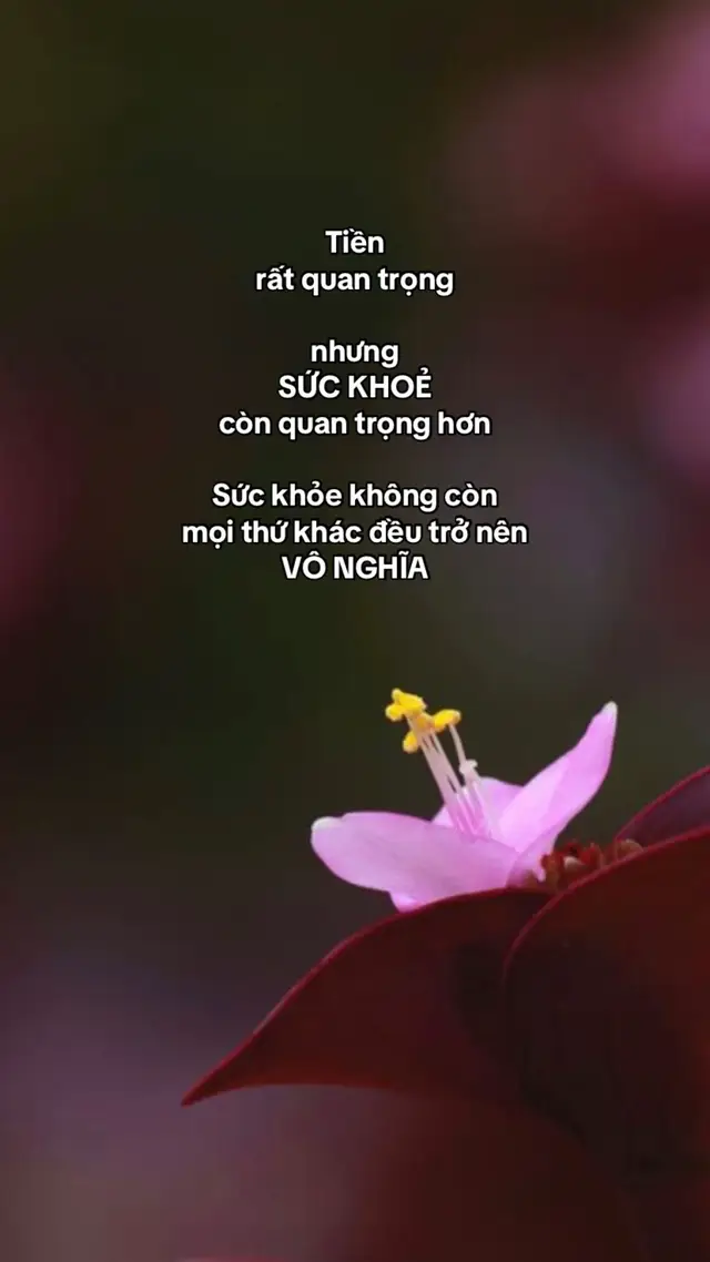 #ChâuMộcLinh #viral #fyp #xuhuongtiktok 