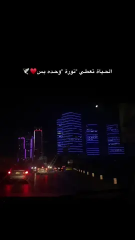😮‍💨♥️🕊️ #شعب_الصيني_ماله_حل😂😂 #اكسبلورexplore #ك #تصويري📸 
