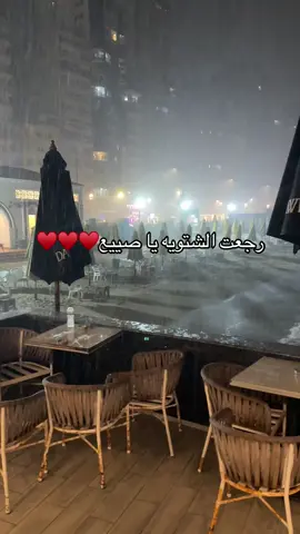 رجعت الشتويه في اسكندريه ♥️🐰 #اسكندريه #شتا #explor 