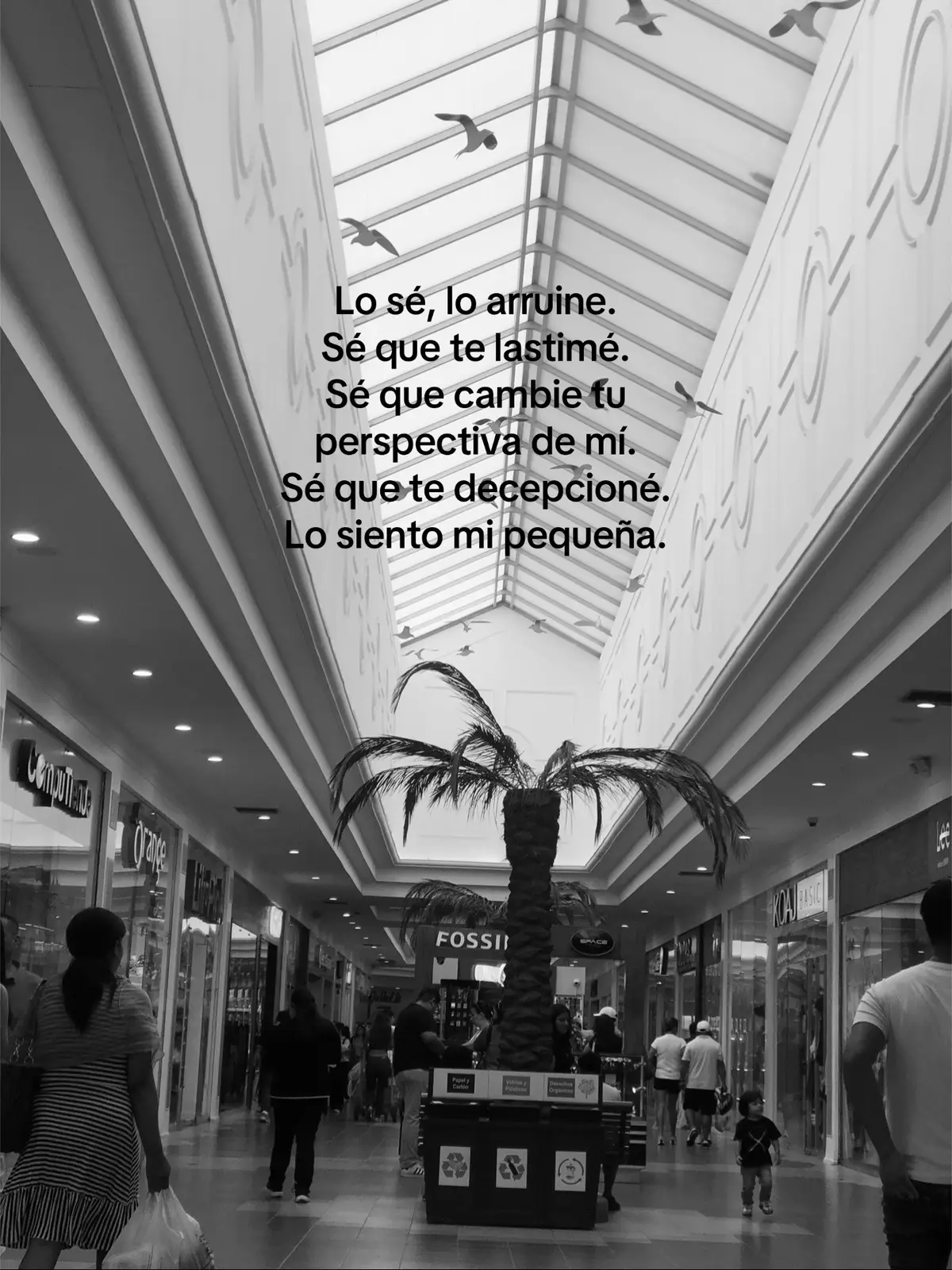 #perdoname 