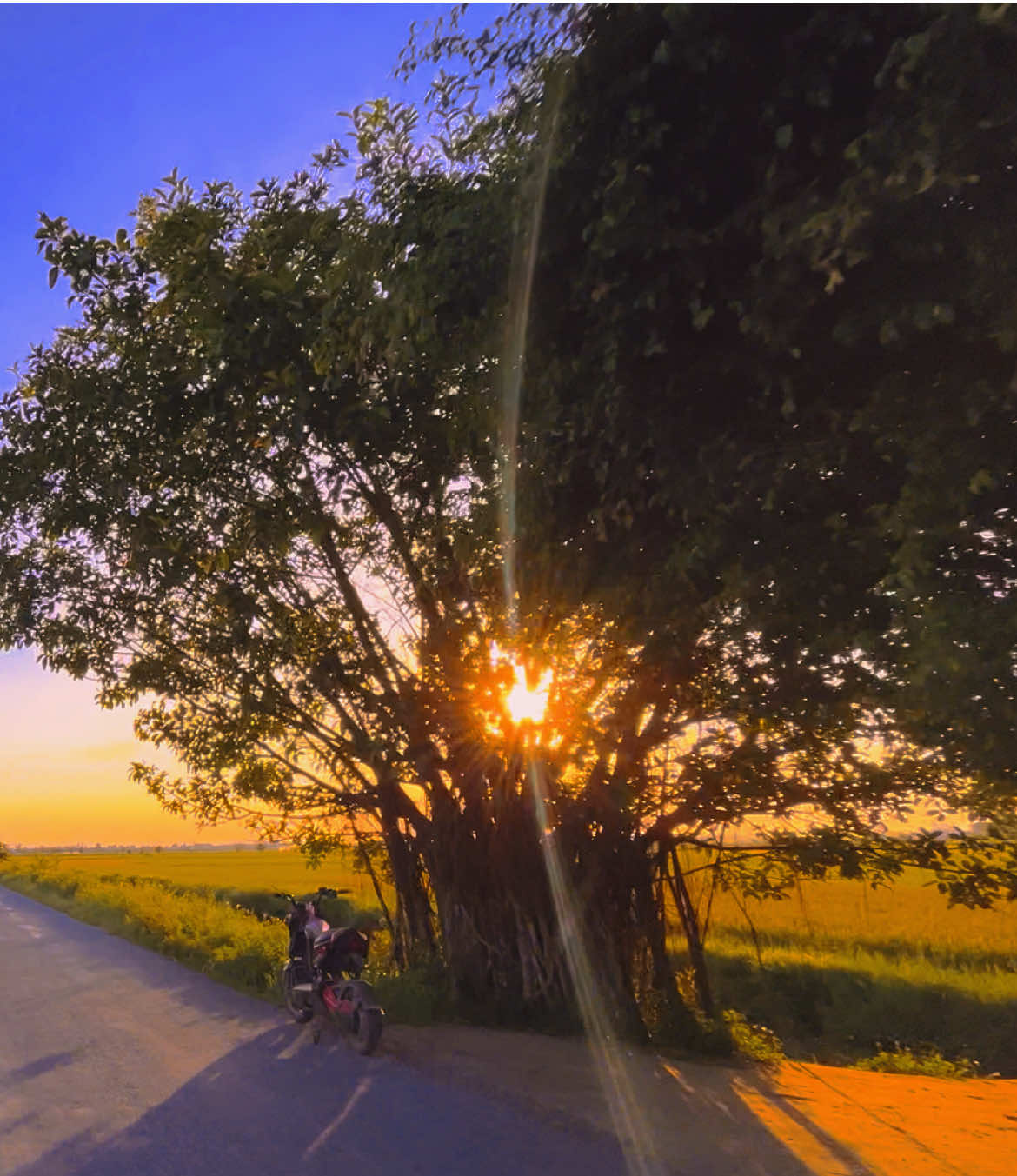 Thay vì than vãn với ai đó hôm nay anh mệt mỏi như nào thì  anh sẽ chọn một mình, để không mang tiêu cực đến cho bất cứ ai#phuotluon #djthangkenny1995 