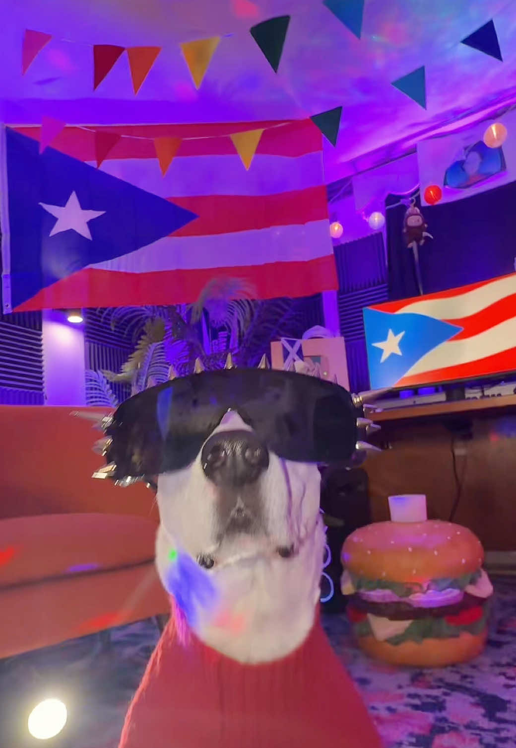 🇵🇷 🇵🇷🇵🇷🇵🇷🇵🇷🇵🇷🇵🇷 #Super Bowl #badbunny #puertorico #🇵🇷 #latin  