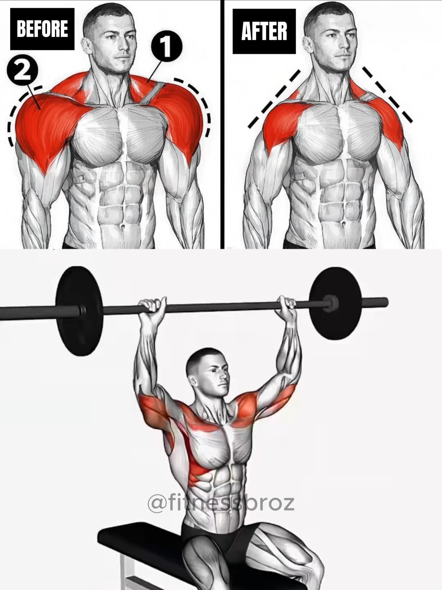 BUILD WIDER SHOULDERS 🔥 #gym #workoutmotivation #fitnessmotivation #motivation #GymTok