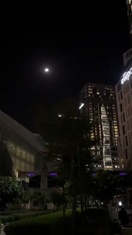 #explore #CapCut #اكسبلورexplore #❤️❤️❤️❤️❤️❤️ 