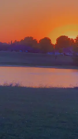 #atardardecer🌅 #creatorsearchinsights2025 #patos #Otoño 