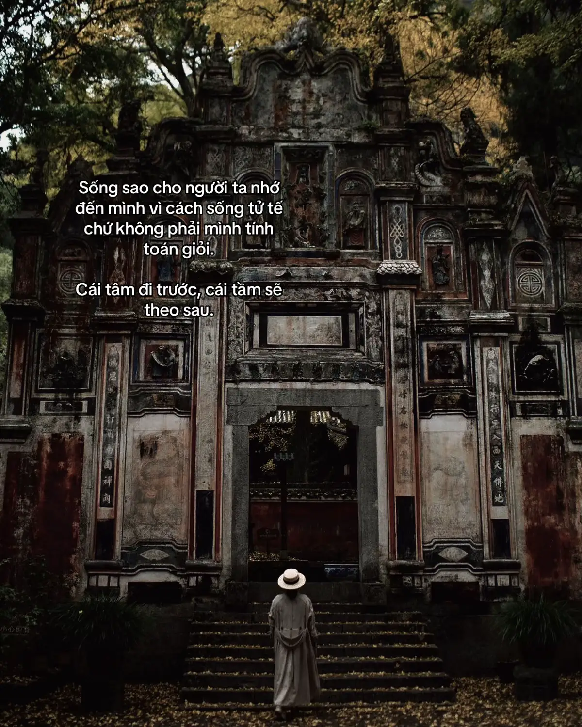 #caphay #xuhuong #nhachaymoingay #nhachay #xuhuongtiktok 