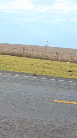 Ni Sir God siku Zomboo🥳🥳🥳🥸