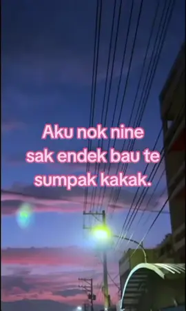 nine sak ndk bau tesumpak just konten || bahan sw mu || lombok #fyppppppppppppppppppppppp #gsukaskip📵 #spamlike_autoblock🕊 #katakata #lombokvirall🌴🌴 